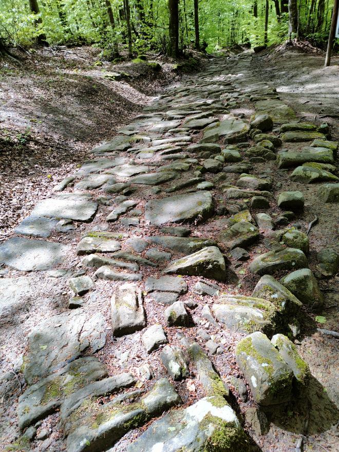 Foto del selciato della via Flaminia